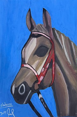 خيل